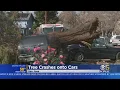 High Winds Strong Winds Create Chaos In San Jose Neighborhood