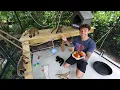 Moving My BABY COATIMUNDI into NEW HOME