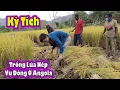 Download Lagu 2Q Vlogs||Vụ Lúa Nếp bội thu ở Angola|| Su Hào Nhồi bánh Mỳ Siêu Ngon|| Cuộc Sống Châu Phi