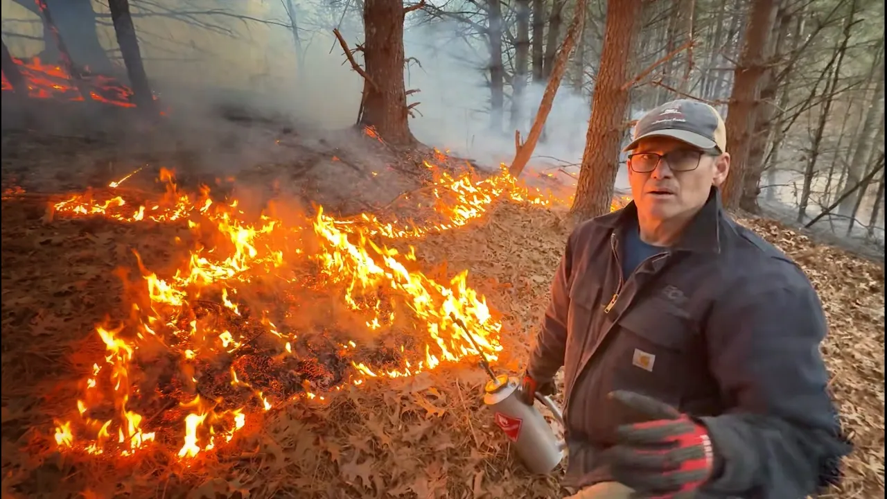 Prescribed Control Burning | Preventing Forest Fires