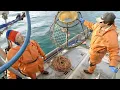 Last Day of the Season Stacking Out - Part 6 Tanner Crab 2023