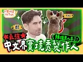 Download Lagu [SUB] EP9 中文怪物 酷的夢 與毛孩 Miki 的最後一天！真情流露 Sandy 淚崩招架不住！？【 萌寵明星粗乃玩 】完整版 @haveapetday Sandy Ku's dream酷的夢
