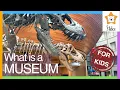 WHAT IS A MUSEUM Learn about museums Types of museums For Kids