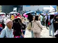 Download Lagu Tambal ban. Lorenza. Hari bayangkara ke 79 monas. #lorenza #monas #jakarta