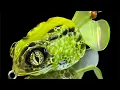 Lure Painting a Custom Topwater Buzz Frog from Lurebuild Whitmore Farm Stencils 8mm Jettson Eyes