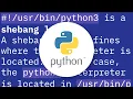 Purpose of python3 shebang