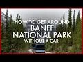 How to Get Around Banff Without a Car Transit Bike Shuttle Guide
