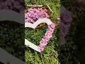 Spring is Here Fun Spring Activities for Kids DIY Spring Crafts Parent-Child Craft Ideas