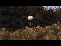 hippo campus - baseball (official audio)