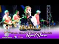 Lagu HABIS GELAP TERBITLAH TERANG - SYARIF BUANA ARABELLA MUSIC - NUGROHO AUDIO