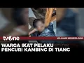 Download Lagu Akisnya Kepergok, Pelaku Pencuri Kambing Dihakimi Warga | tvOne