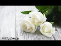 Download Lagu Самая красивая мелодия в мире🌺Самая красивая мелодия весны🌿Музыка Сергея Грищука