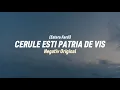 Negativ -Cerule esti patria de vis ||Estera Fardi|| 2024