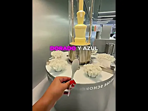 Entró al Museo Lindt sin saber nada 🍫