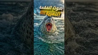 إذا سمعت هذا الصوت على البحر اهرب فورا 
