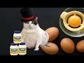 Mayonnaise A Condiment of Conflict