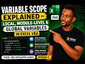 Variable Scope Explained - Local Module Level Global Variables in Excel VBA