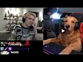 These Hasan Dog Shock Collar Memes are Insane