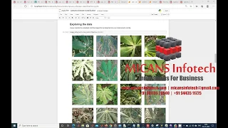 Cassava disease classification and detection using convolutional neural networks Python Project