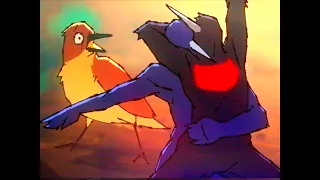 more birds for some reason