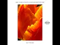 Not The End (feat. ESAE) [Extended]