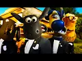 Download Lagu Shaun the Sheep Funny dancing to music! 🔴