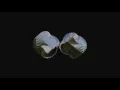 Ben Wade Copper ks1 Visualization Trapcode Tao Trapcode Soundkeys