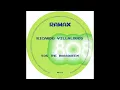 Ricardo Villalobos - 808 The Bassqueen (Queen Of Bass Mix) [LO-FI009]