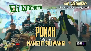 Download Eli Kharisma - PUKAH - Medley Wangsit Siliwangi || Balad Live Wangunsari MP3