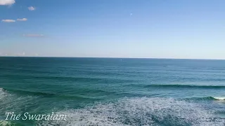 suara burung camar di laut yang menenangkan