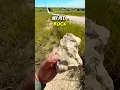 Download Lagu Can you help me find ‘my pet rock’? 🪨 Love a tricky Geocache hide like this!