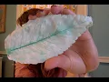 Take Home Craft Plaster Leaf Dish