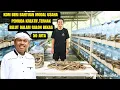 Download Lagu Kang Dedi Mulyadi Memberi Bantuan Usaha Pemuda Kreatif \u0026 Inovatif Ternak Belut Dalam Galon