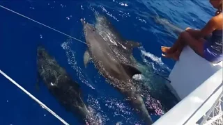 Episode 89 Goodbye farewell