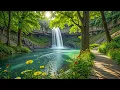 Download Lagu Prachtige ontspannende muziek voor het hart en de bloedvaten 🍃 Geweldige genezende muziek #7