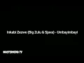 Inkabi Zezwe (Big Zulu & Sjava) - Umbayimbayi (Lyrics)