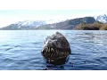 Download Lagu Loch Ness