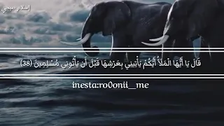اسلام صبحي قال عفريت من الجن  دندنها