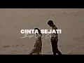 Download Lagu Cinta sejati-bunga citra lestari(tiktok version)tanpa lirikk