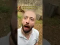 Download Lagu MÃE E O DIA DO CABELO MALUCO! 😂