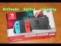 Nintendo Switch Atmosphere Payload Injector Dongle Unboxing