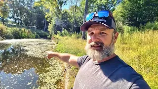 A Day of Farming Reveals Strange Creatures in the Pond! Are these LEACHES??