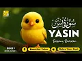 Download Lagu Surah Yasin (Yaseen) سورة يس ✦ Beautiful voice heart touching ✦ Soulful Quran For Sleep ✦ Alaa Aqel