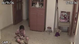             دندنها