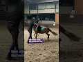 Download Lagu Ophef over dierenmishandeling bij een manege in Peer.
