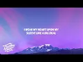 Calvin Harris - Feel So Close (Lyrics)