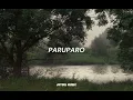 SUGARCANE, JC-HERRERO-Paruparo (lyrics)