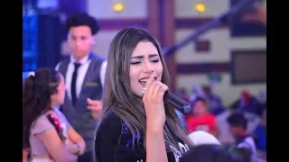 الملكة يارا محمد 2019 اغنية جديده ليلة ورد يا حبايب عملت ايه فى العرسان مع المصري 