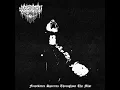 Download Lagu Nosferatu - Frostbitten Spectres Throughout the Mist - Single (2023)