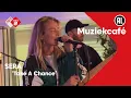 Download Lagu SERA - Take A Chance | NPO Radio 2